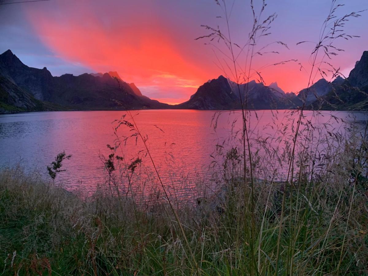 Reinefjord Panorama Villa Moskenes Dış mekan fotoğraf